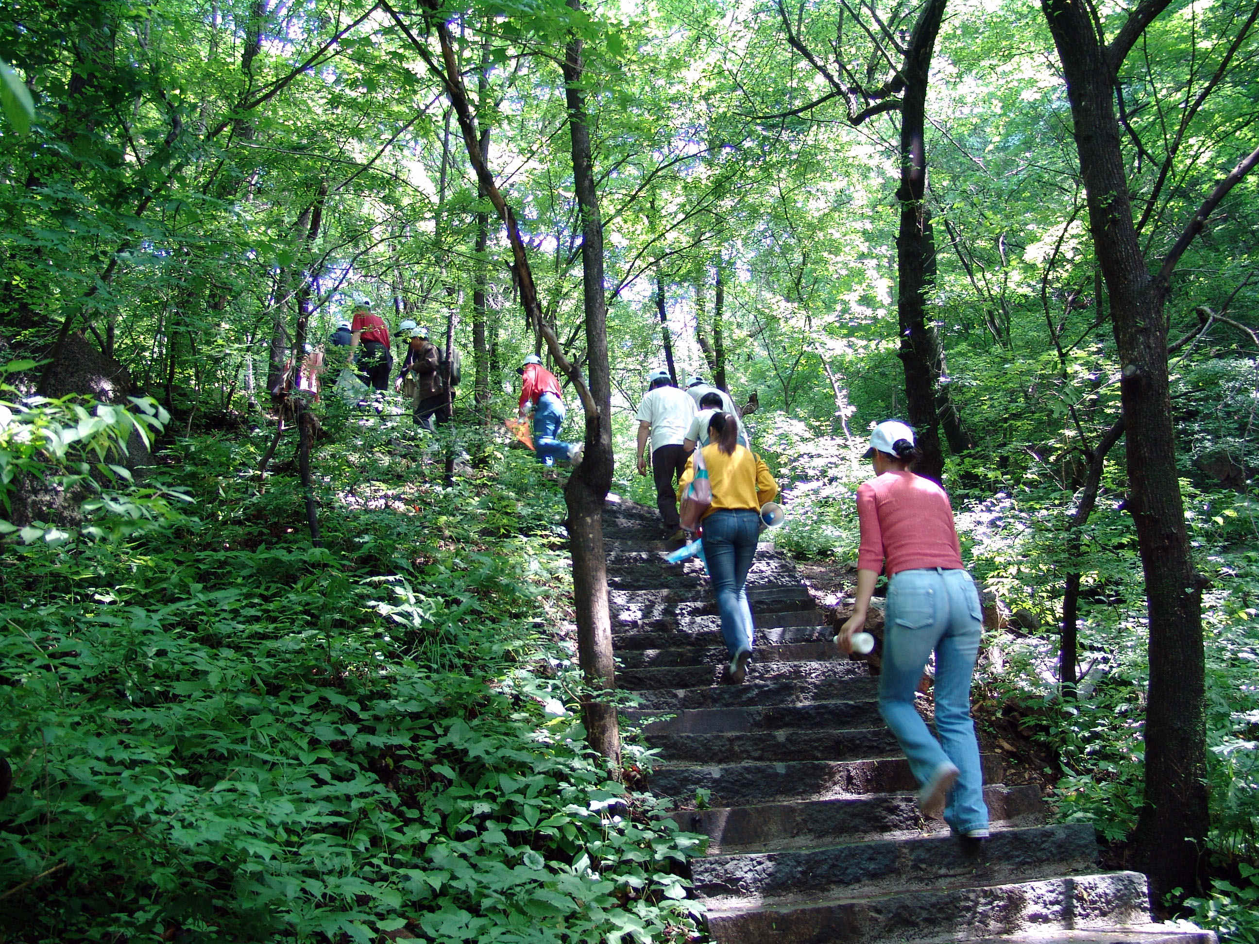 2006062603-2.jpg
