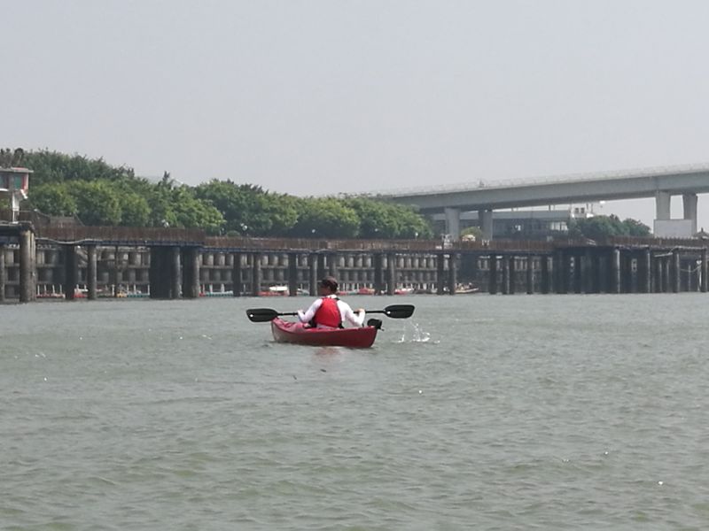 mmexport1469764187843.jpg